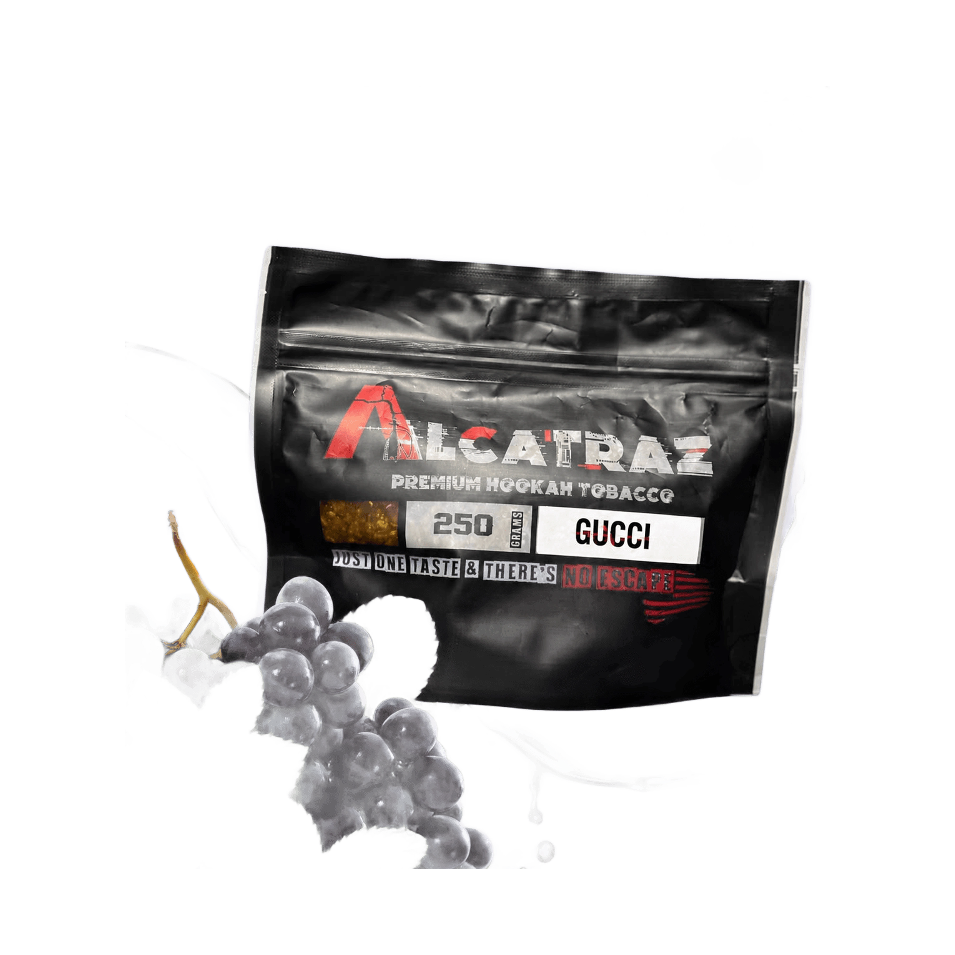 Alcatraz Gucci